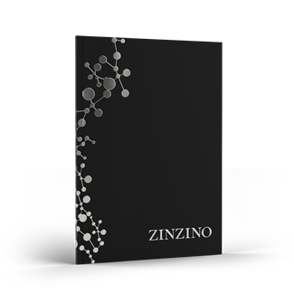 Notebook x10