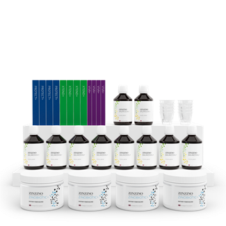 Ultimate Vegan Kit NY
