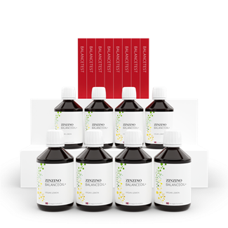 Ultimate Vegan Kit