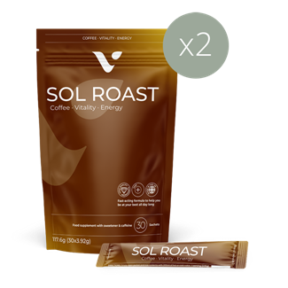 SolRoast Kit
