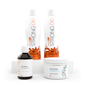Basic Bodepro Kit