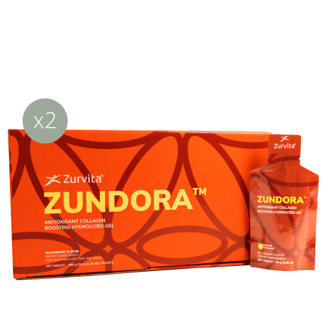 Zundora x2 Kit